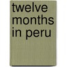 Twelve Months In Peru door E.B. Clark