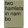 Two Hamlets In Nam Bo by David Lan Pham