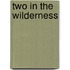 Two In The Wilderness