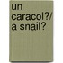 Un caracol?/ A Snail?