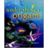 Under The Sea Origami