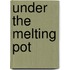 Under the Melting Pot