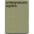 Undergraduate Algebra