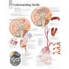 Understanding Strokes door Scientific Publishing Ltd.