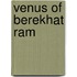 Venus Of Berekhat Ram