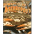 What Is An Arthropod?