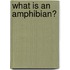 What Is an Amphibian?
