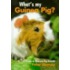 What's My Guinea Pig?