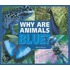 Why Are Animals Blue?
