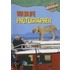 Wildlife Photographer