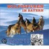 Wolfsspuren in Bayern