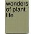 Wonders Of Plant Life