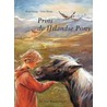 Prins, de IJslandse Pony door U. Heyne
