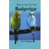 Your First Budgerigar