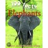 100 Facts On Elephants