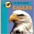 101 Facts About Eagles