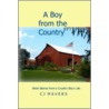 A Boy from the Country door C. J. Mavers