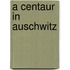 A Centaur In Auschwitz