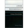 A Fool's Phenomenology door Stephen Tyman