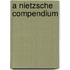 A Nietzsche Compendium