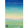A River Called Forever door Terry Moore