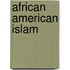 African American Islam