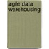 Agile Data Warehousing