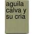 Aguila Calva y Su Cria