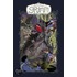 American McGee's Grimm