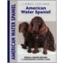 American Water Spaniel