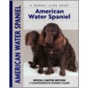 American Water Spaniel by Paul Morrison