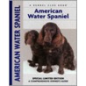 American Water Spaniel door Paul Morrison