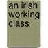 An Irish Working Class