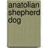 Anatolian Shepherd Dog