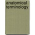 Anatomical Terminology