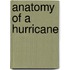 Anatomy of a Hurricane