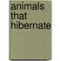 Animals That Hibernate