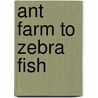 Ant Farm to Zebra Fish door Mary Elizabeth Salzmann