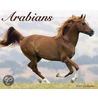 Arabians 2011 Calendar door Onbekend