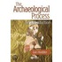 Archaeological Process