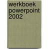 Werkboek PowerPoint 2002
