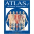 Atlas of Human Anatomy