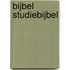 Bijbel Studiebijbel