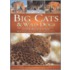 Big Cats and Wild Dogs
