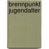 Brennpunkt Jugendalter door Renate Straßegger-Einfalt