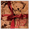 Brown Paper Teddy Bear door Catherine Allison