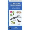 Cape Cod Seashore Life door Senior James Kavanagh