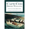 Cape Cod Shore Whaling door John Braginton-Smith