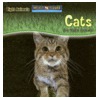 Cats Are Night Animals by Joanne Mattern