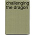 Challenging the Dragon